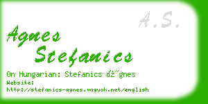 agnes stefanics business card